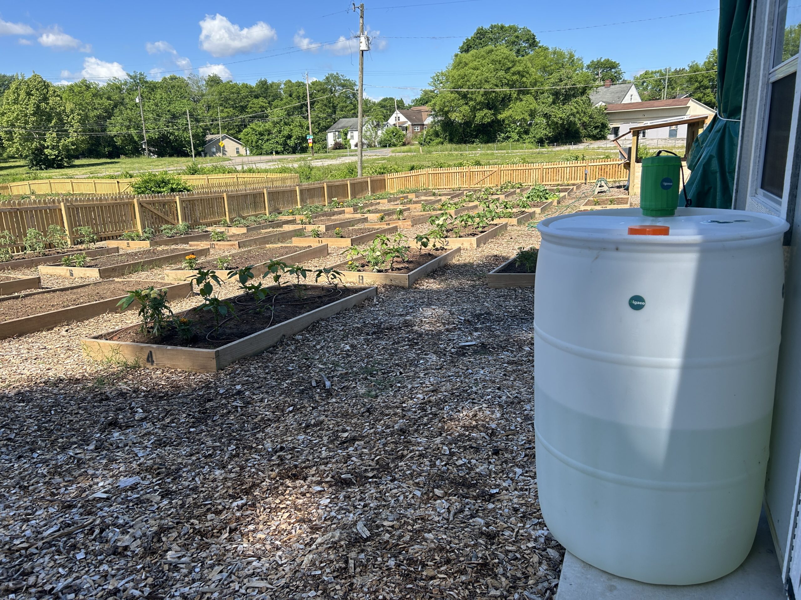 Algaeo Manual Module – Complete On-Farm Algae Production System - Image 2