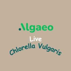 Algaeo Live Chlorella – Freshwater Microalgae Culture